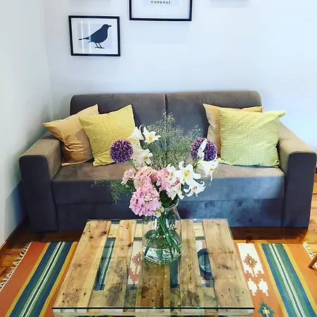 Apartman Vintage Old Town *
